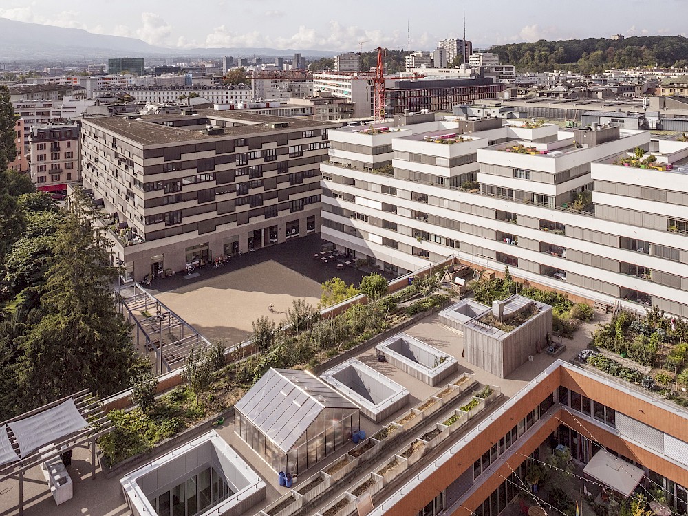Ecoquartier La Jonction, Genf